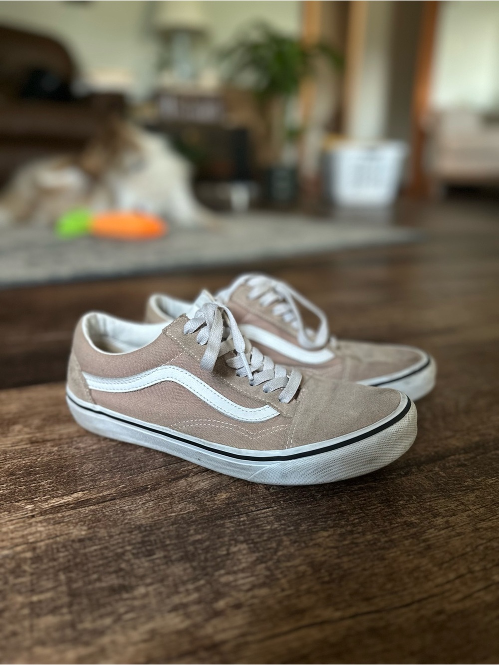 Vans Womens Sneakers in Taupe and White